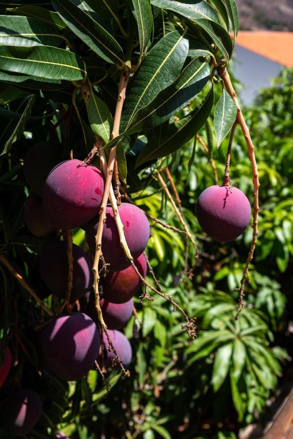 Finca El Moral Puerto De Mogan Ngoại thất bức ảnh