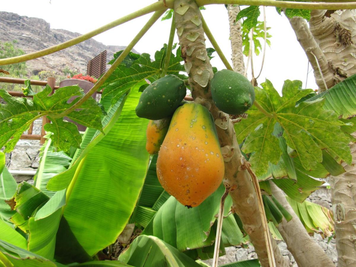 Finca El Moral Puerto De Mogan Ngoại thất bức ảnh